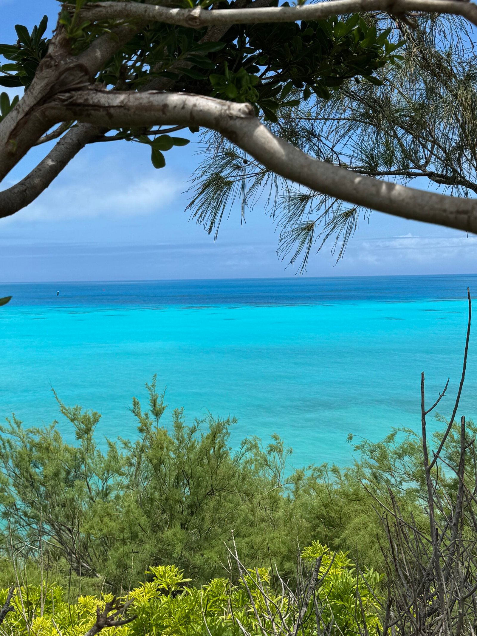 Easy days in Bermuda